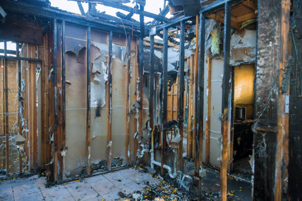 Professional Fire Damage Repair technician working in Arlington, WA